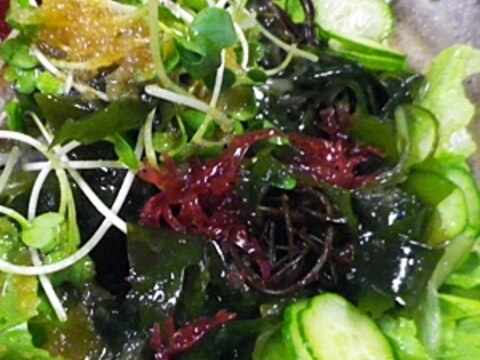 海藻グリーンサラダ